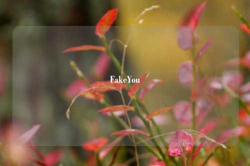 FakeYou