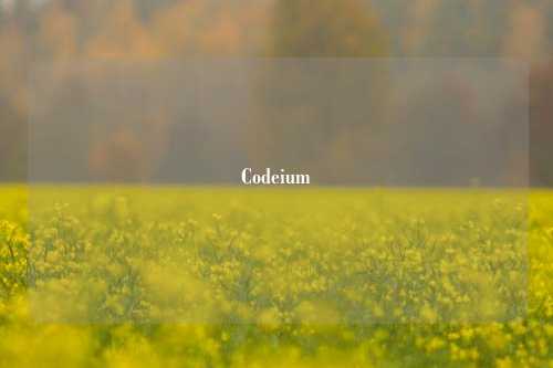 Codeium