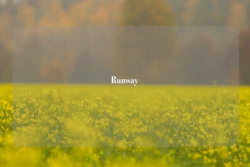 Runway