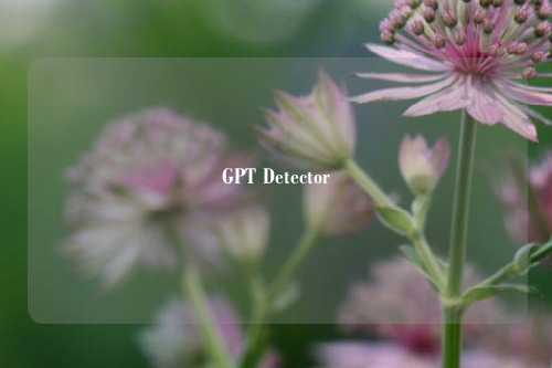 GPT Detector