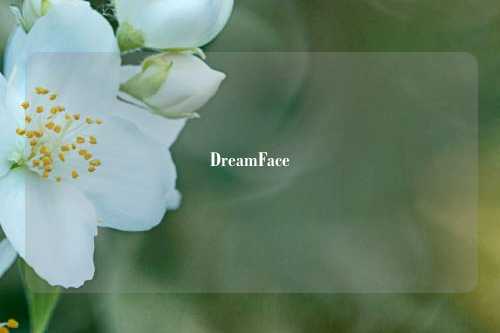 DreamFace