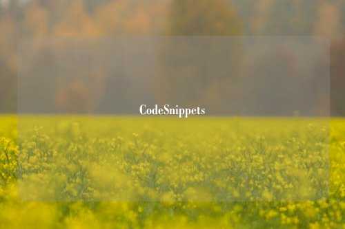 CodeSnippets