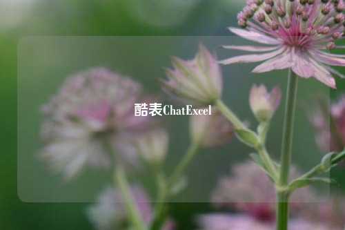 酷表ChatExcel