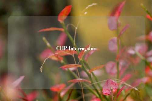 CLIP Interrogator