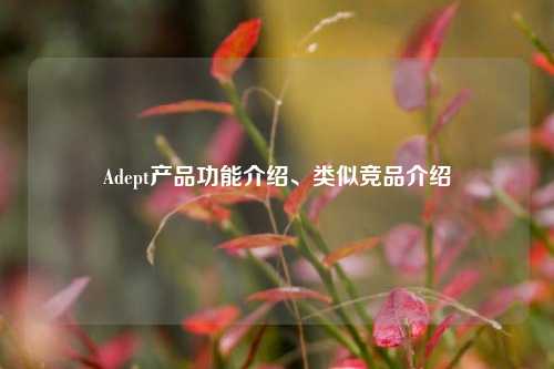 Adept产品功能介绍、类似竞品介绍