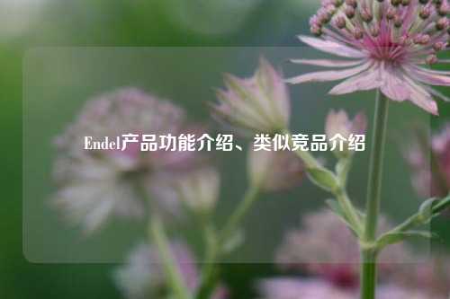 Endel产品功能介绍、类似竞品介绍