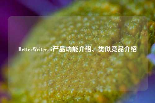 BetterWriter.ai产品功能介绍、类似竞品介绍