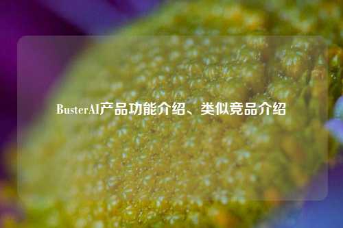 BusterAI产品功能介绍、类似竞品介绍