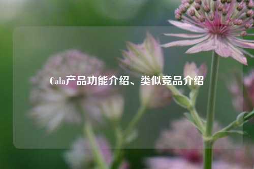 Cala产品功能介绍、类似竞品介绍