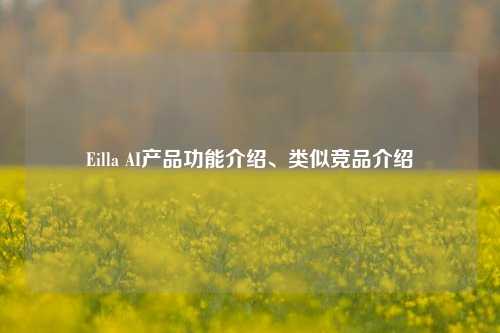 Eilla AI产品功能介绍、类似竞品介绍