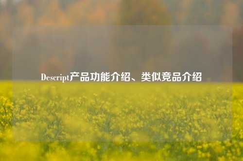 Descript产品功能介绍、类似竞品介绍