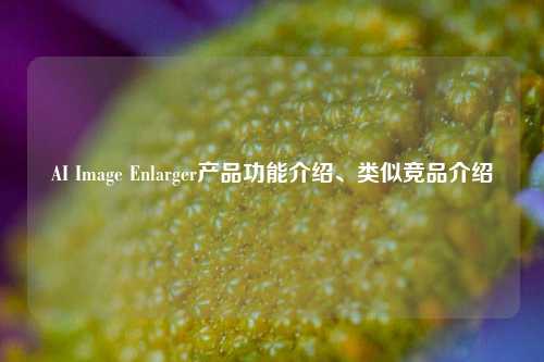 AI Image Enlarger产品功能介绍、类似竞品介绍