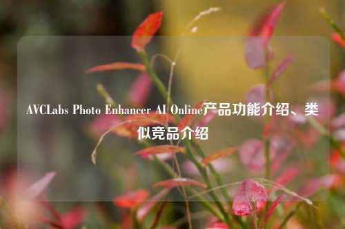 AVCLabs Photo Enhancer AI Online产品功能介绍、类似竞品介绍