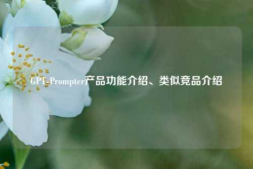 GPT-Prompter产品功能介绍、类似竞品介绍