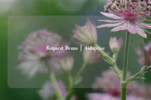 Request Demo | Aidaptive