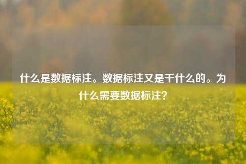 什么是数据标注。数据标注又是干什么的。为什么需要数据标注？