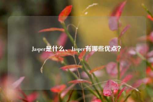 Jasper是什么、Jasper有哪些优点？