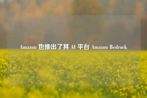 Amazon 也推出了其 AI 平台 Amazon Bedrock