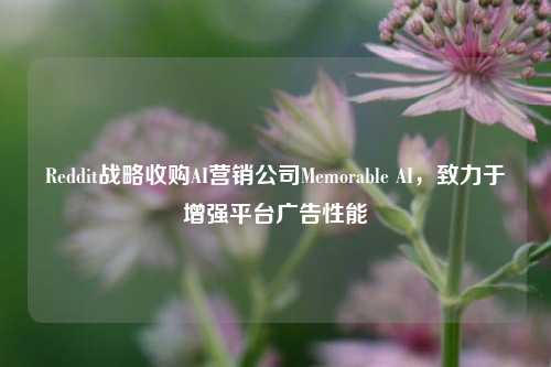 Reddit战略收购AI营销公司Memorable AI，致力于增强平台广告性能